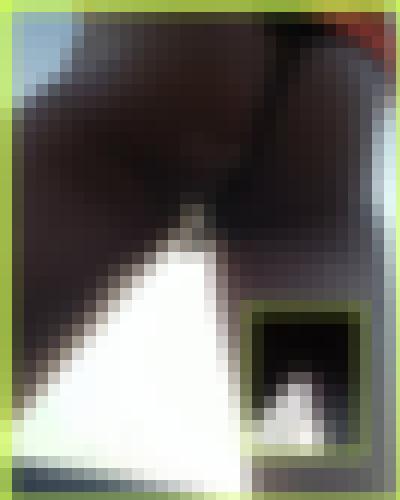 Photo from Doux25 into Contraste