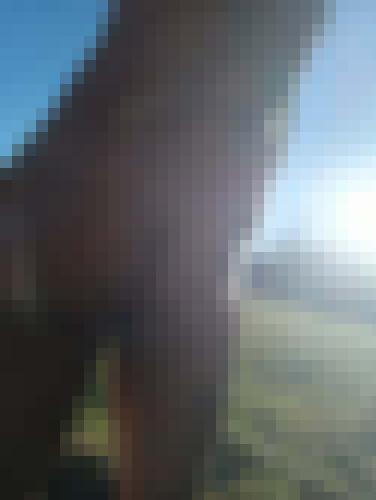 Photo from Doux25 into Je montre mes fesses