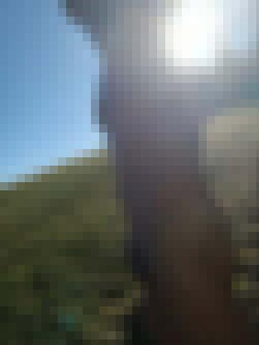 Photo from Doux25 into Nature et Soleil