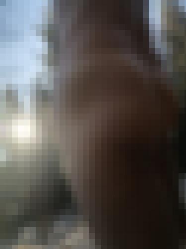 Photo from Doux25 into Je montre mes fesses