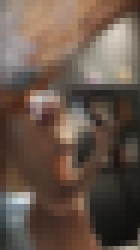 Foto de Coconut17 en Sous la douche