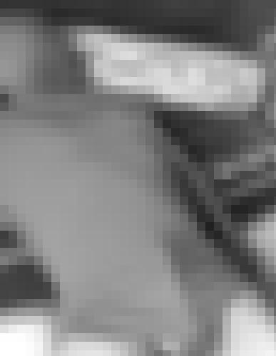 Photo from AubertGeen73 into Selfie du matin