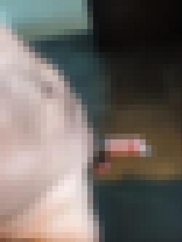 Foto de Charly.22 en Un détail ...