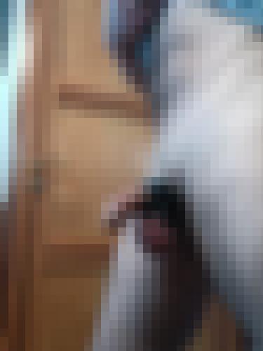 Foto de Charly.22 en Shopping sexy