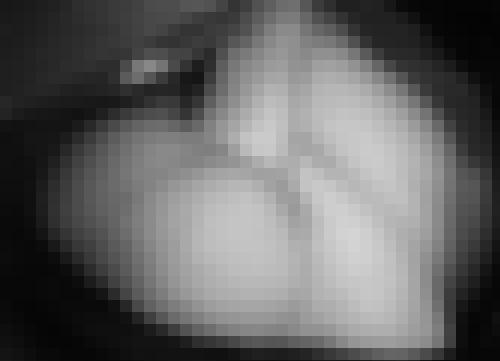 Foto de user1761521102841 en Sous les draps