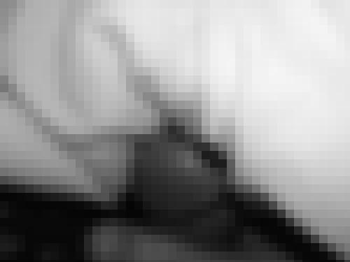 Photo from user1761521102841 into Jeux de mains