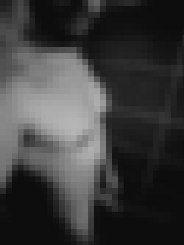 Photo from user1763213143850 into Open to everyone