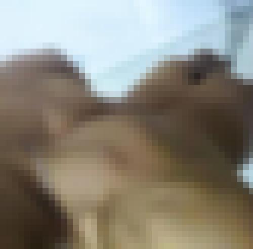 Foto de 69 en Abierto a todos