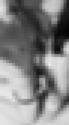 Photo from Toboy into Face à face