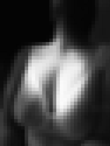 Photo from user1763404800392 into 10 dernières photos éphémères