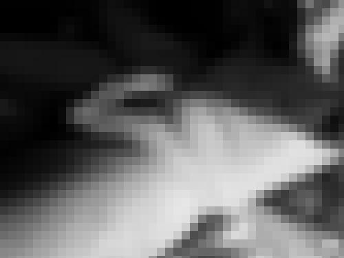 Photo from user1765016010938 into Explicite ... mais éphémère !