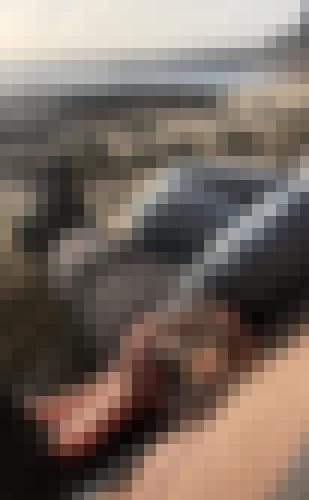 Foto de Diablotin56 en Photo risquée