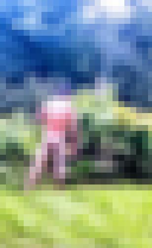 Foto de user1765991247300 en Nature et Soleil