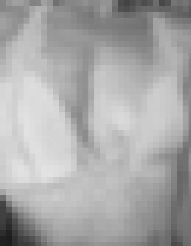 Photo from Sasha2 into Photo sage