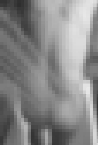 Photo from user1766974944936 into Open to everyone