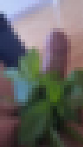 Photo from user1766974944936 into Open to everyone