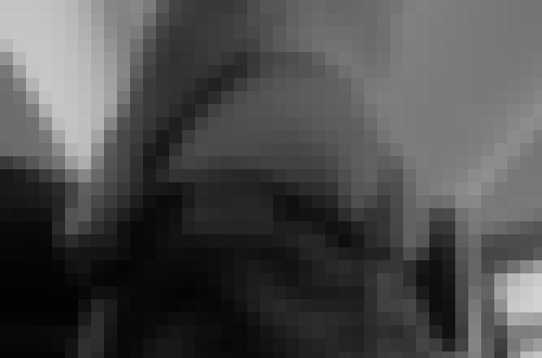 Foto de user1767864992807 en VSC