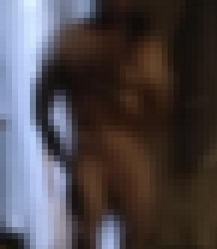 Foto de MaxP en Mon beau miroir