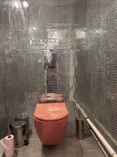 Toilettes super shiny.