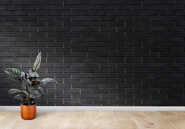 4 ideas económicas y creativas para decorar paredes sin pintar 4