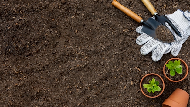 Guía para elegir el mejor suelo para tu jardín: piedras y grava 2