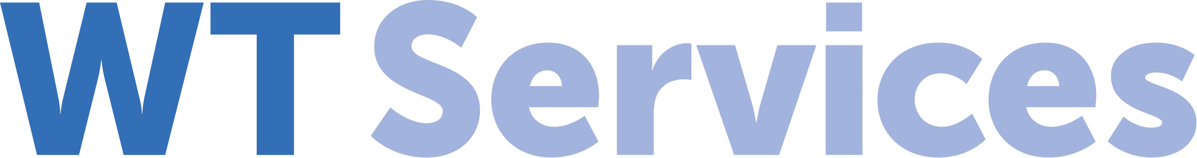WT Services S.à r.l. logo
