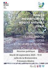 Affiche Réunion Publique PPRN Ferney-Prévessin-SaintGenis