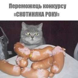 eae3d5dfdc6594dfa5a0ce0d8843ebed.jpg