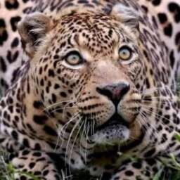 ab0c4ce69a8989b61ee9789fb65fd205.jpg