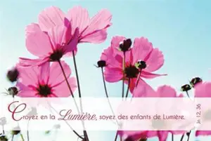 LOT DE 20 - CARTE SIMPLE PHOTO NATURE CROYEZ EN LA LMIERE - VENDU PAR LOT DE 20 EXEMPLAIRES