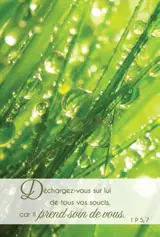 LOT DE 20 - CARTE SIMPLE PHOTO NATURE DECHARGEZ-VOUS SUR LUI - VENDU PAR LOT DE 20 EXEMPLAIRES