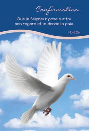LOT DE 20 - CARTE SIMPLE CONFIRMATION - VENDU PAR LOT DE 20 EXEMPLAIRES