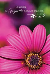 LOT DE 20 - CARTE SIMPLE PHOTO NATURE LA PAROLE DU SEIGNEUR DEMEURE - VENDU PAR LOT DE 20 EXEMPLAIRE