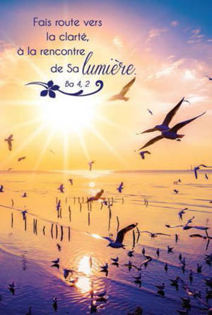 LOT DE 20 - CARTE SIMPLE PHOTO NATURE FAIS ROUTE VERS LA CLARTE - VENDU PAR LOT DE 20 EXEMPLAIRES
