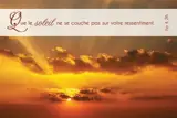 LOT DE 20 - CARTE SIMPLE PHOTO NATURE QUE LE SOLEIL NE SE COUCHE PAS - VENDU PAR LOT DE 20 EXEMPLAIR