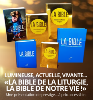 LIB diapo ordi.png