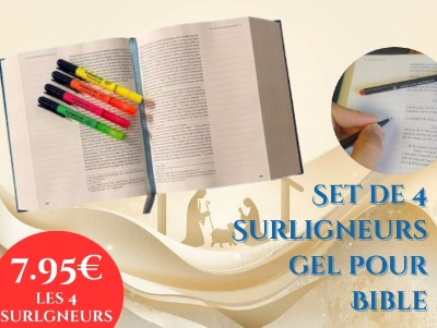 biblesurligneur.jpg