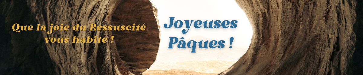 LIB diapo ordi (4).png