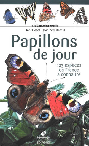 Papillons de jour : 123 espèces de France à connaître