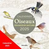 Oiseaux grandeur nature : calendrier mural 2026