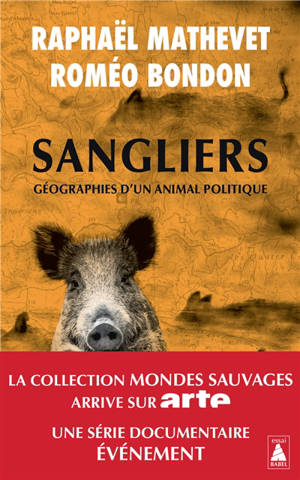 Sangliers : géographies d'un animal politique