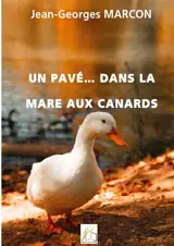 Un pavé... dans la mare aux canards