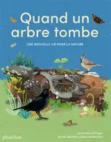 Quand un arbre tombe : une nouvelle vie pour la nature