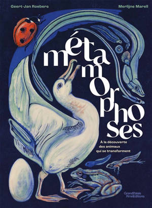 Métamorphoses