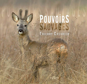 Pouvoirs sauvages