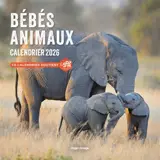 Calendrier mural Bébés Animaux 2026