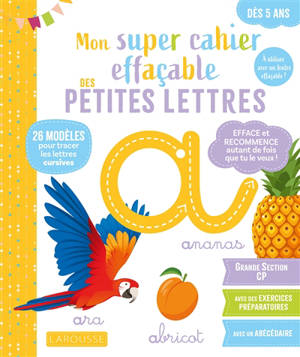 Mon grand cahier effaçable : petites lettres : de la grande section au CP, 5-6 ans
