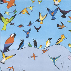 Le rhinocéros et les oiseaux