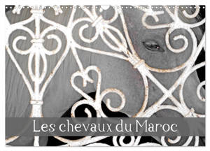 Les chevaux du Maroc (Calendrier mural 2026 DIN A3 vertical), CALVENDO calendrier mensuel : Balade dans les haras marocains