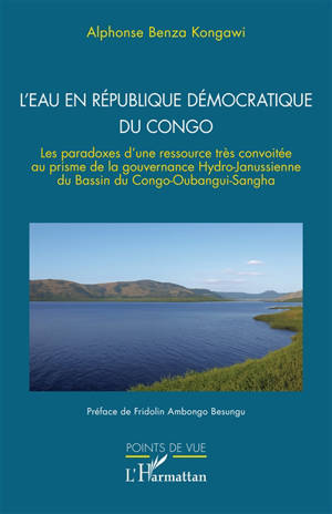 L'eau en République démocratique du Congo : les paradoxes d'une ressource très convoitée au prisme de la gouvernance hydro-janussienne du bassin du Congo-Oubangui-Sangha